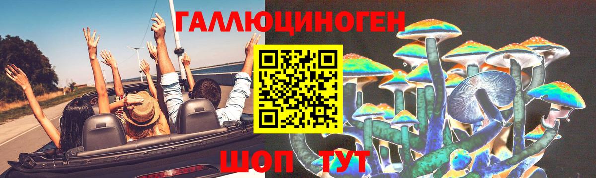 Урус-Мартан  Псилоцибиновые грибы GOLDEN TEACHER  Галлюциногенные грибы прущие грибы  сколько стоит  Вход с VPN 